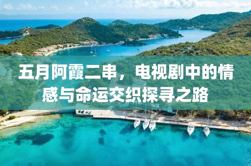 五月阿霞二串，电视剧中的情感与命运交织探寻之路