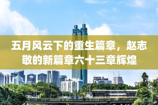 五月风云下的重生篇章，赵志敬的新篇章六十三章辉煌