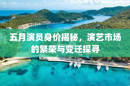 五月演员身价揭秘，演艺市场的繁荣与变迁探寻