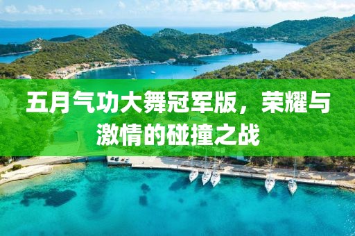 五月气功大舞冠军版，荣耀与激情的碰撞之战