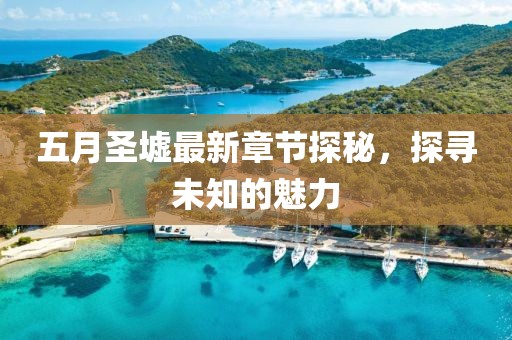 五月圣墟最新章节探秘，探寻未知的魅力