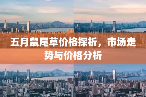五月鼠尾草价格探析，市场走势与价格分析