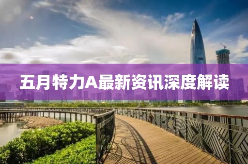 五月特力A最新资讯深度解读