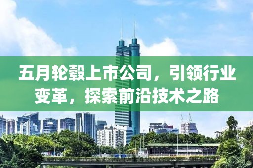 五月轮毂上市公司，引领行业变革，探索前沿技术之路