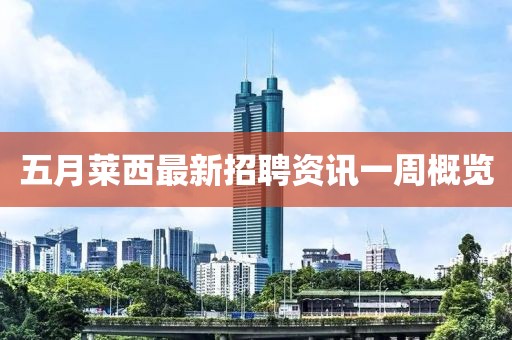 五月莱西最新招聘资讯一周概览