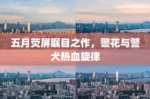 五月荧屏瞩目之作，警花与警犬热血旋律