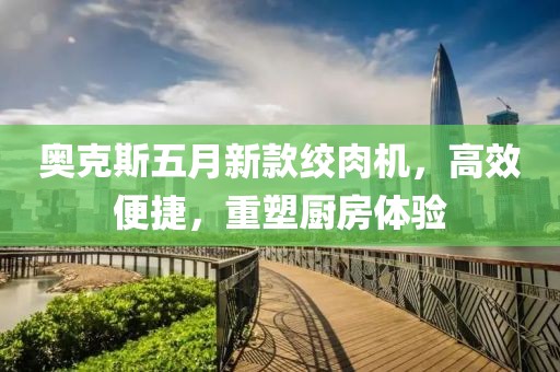 奥克斯五月新款绞肉机，高效便捷，重塑厨房体验