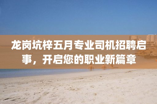 龙岗坑梓五月专业司机招聘启事，开启您的职业新篇章
