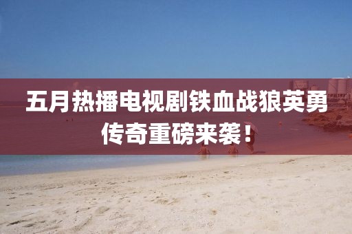 五月热播电视剧铁血战狼英勇传奇重磅来袭！
