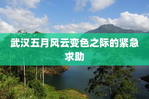 武汉五月风云变色之际的紧急求助