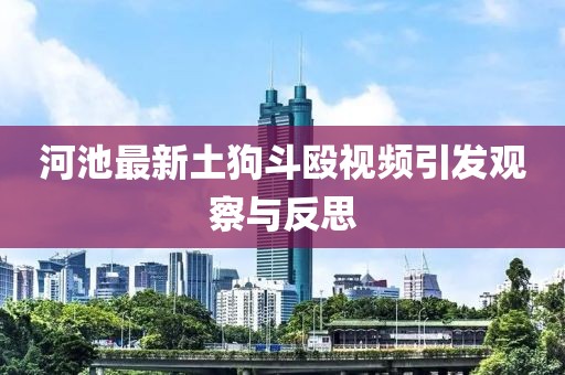 河池最新土狗斗殴视频引发观察与反思
