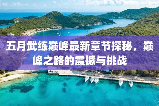 五月武练巅峰最新章节探秘，巅峰之路的震撼与挑战
