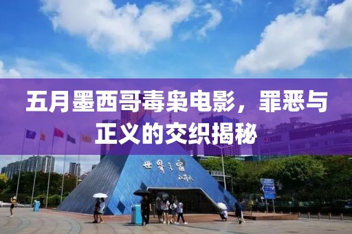 五月墨西哥毒枭电影，罪恶与正义的交织揭秘