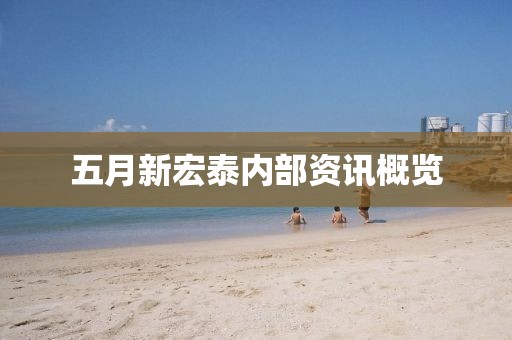五月新宏泰内部资讯概览