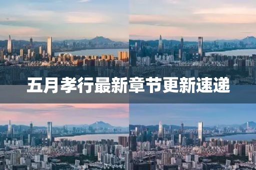 五月孝行最新章节更新速递