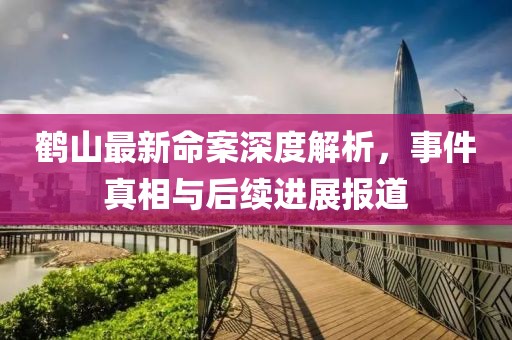 鹤山最新命案深度解析，事件真相与后续进展报道