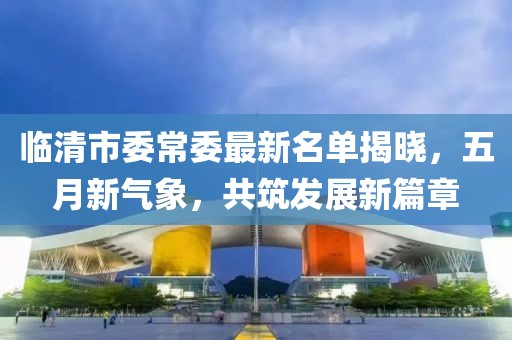 临清市委常委最新名单揭晓，五月新气象，共筑发展新篇章
