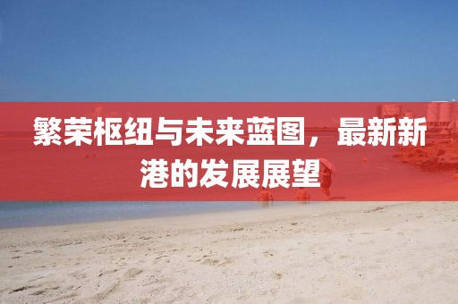 繁荣枢纽与未来蓝图，最新新港的发展展望