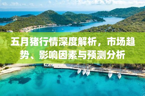 五月猪行情深度解析，市场趋势、影响因素与预测分析