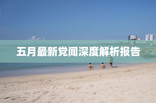 五月最新党闻深度解析报告