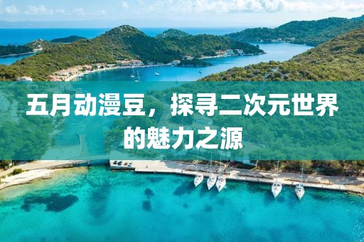 五月动漫豆，探寻二次元世界的魅力之源
