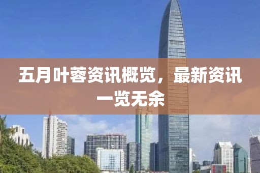 五月叶蓉资讯概览，最新资讯一览无余