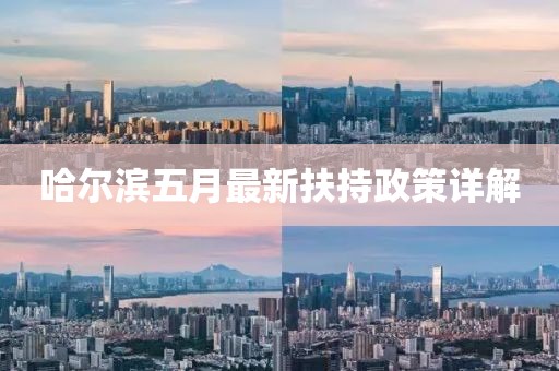 哈尔滨五月最新扶持政策详解