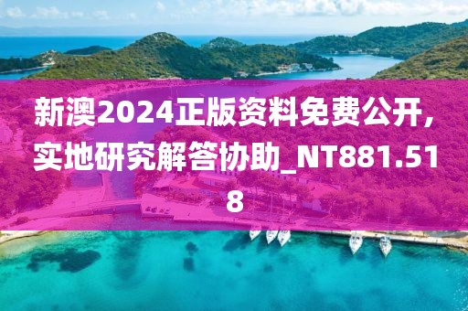 新澳2024正版资料免费公开,实地研究解答协助_NT881.518