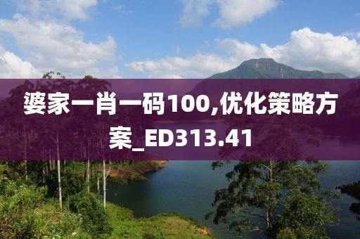 婆家一肖一码100,优化策略方案_ED313.41