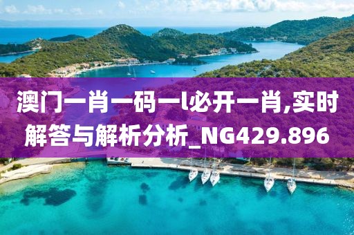 澳门一肖一码一l必开一肖,实时解答与解析分析_NG429.896