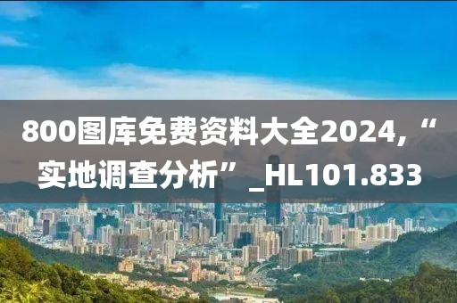 800图库免费资料大全2024,“实地调查分析”_HL101.833