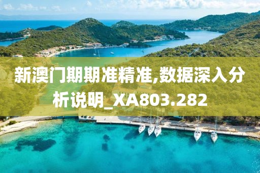 新澳门期期准精准,数据深入分析说明_XA803.282