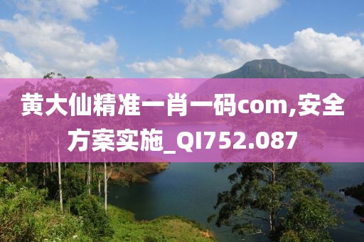 黄大仙精准一肖一码com,安全方案实施_QI752.087