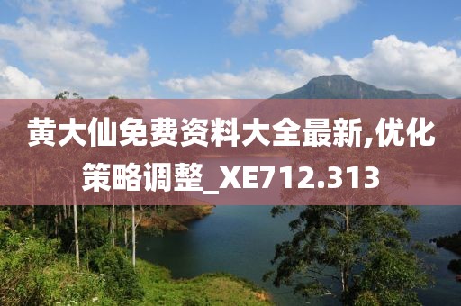 黄大仙免费资料大全最新,优化策略调整_XE712.313
