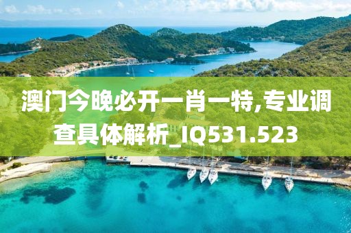 天赋吉运 第23页