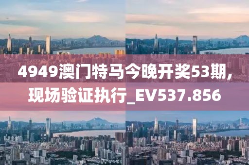 4949澳门特马今晚开奖53期,现场验证执行_EV537.856