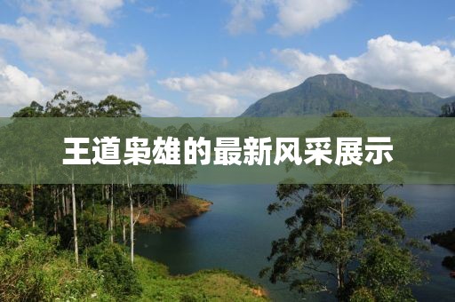 王道枭雄的最新风采展示