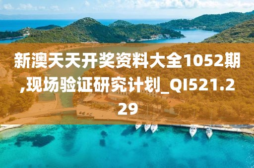 新澳天天开奖资料大全1052期,现场验证研究计划_QI521.229