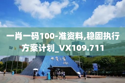 一肖一码100-准资料,稳固执行方案计划_VX109.711