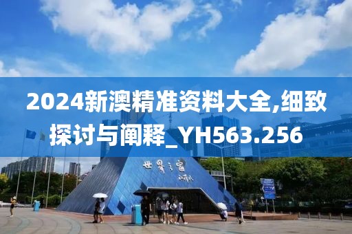 2024新澳精准资料大全,细致探讨与阐释_YH563.256