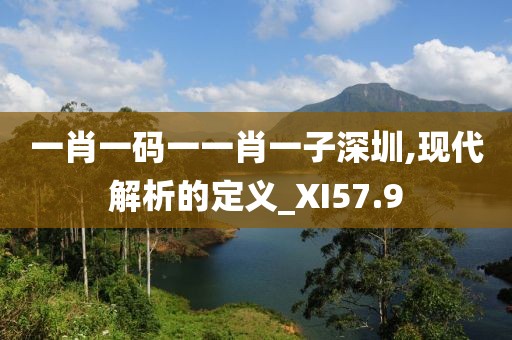一肖一码一一肖一子深圳,现代解析的定义_XI57.9
