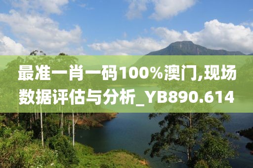 最准一肖一码100%澳门,现场数据评估与分析_YB890.614