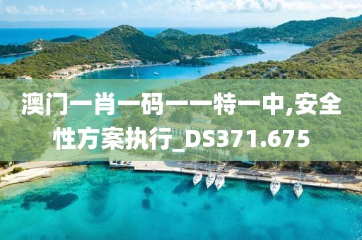 澳门一肖一码一一特一中,安全性方案执行_DS371.675