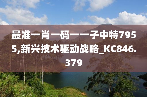 最准一肖一码一一子中特7955,新兴技术驱动战略_KC846.379