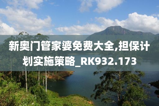 新奥门管家婆免费大全,担保计划实施策略_RK932.173