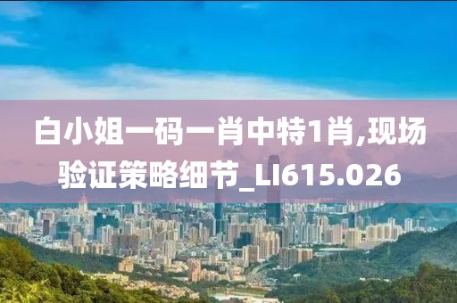 白小姐一码一肖中特1肖,现场验证策略细节_LI615.026
