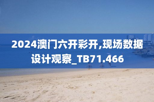 2024澳门六开彩开,现场数据设计观察_TB71.466
