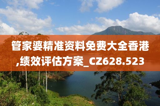 管家婆精准资料免费大全香港,绩效评估方案_CZ628.523