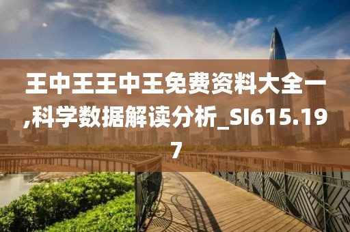 王中王王中王免费资料大全一,科学数据解读分析_SI615.197