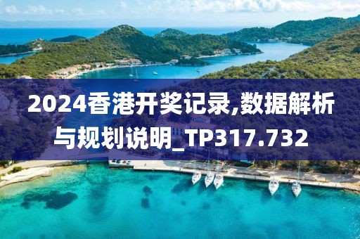 2024香港开奖记录,数据解析与规划说明_TP317.732